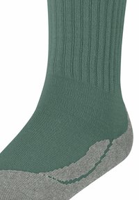 FALKE ACTIVE WARM  - Calze sportive - dark jade