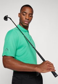 Πράσινο πόλο μπλουζάκι με κοντά μανίκια και γιακά, με λογότυπο στο μανίκι. Μαύρο μπαγκέτο γκολφ κρατημένο στον ώμο σε ουδέτερο φόντο.