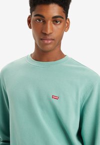 Lichtgroene sweatshirt met een ronde hals en ribgebreide boorden. Heeft een klein rood Levi's logo op de linkerborst. Zachte textuur.