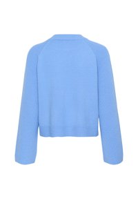 Pull en tricot bleu clair avec un design court, des manches raglan, un ourlet côtelé et une texture lisse. La vue arrière montre des détails minimaux.