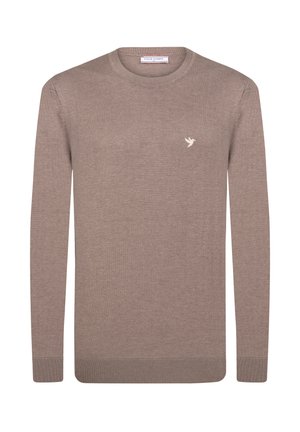 Brązowy sweter z długimi rękawami, okrągłym dekoltem, ściągaczami na rękawach i na dole. Posiada małe, jasne logo ptaka na piersi. Miękka, dziana faktura.