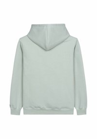 Sudadera ligera de color gris claro, material de algodón suave, bolsillo canguro, mangas largas, puños y dobladillo acanalados, con una capucha espaciosa y sin marcas visibles.
