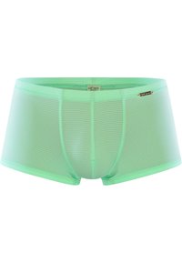 Boxer shorts da uomo verde chiaro realizzati in materiale trasparente, con strisce orizzontali, una vestibilità aderente e un logo sul cinturino. 