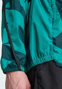 Herrarnas lätta jacka med ett geometriskt mönster i teal och mörkgrön, med elastisk nederkant och ärmslut, tillverkad av ett slitstarkt syntetiskt material.