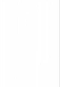 Nessuna immagine visibile per la descrizione. Si prega di fornire un'immagine per generare il testo alternativo.