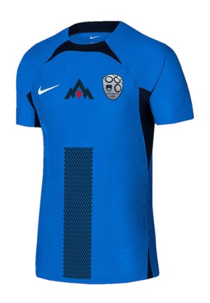 Nike Performance REPLICAS NATIONALTEAMS SLOWENIEN AUTH - Fußball-Trikot - blau