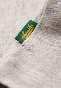 Superdry & Co EMBROIDER STATE LOGO RUNDHALS EIN - T-Shirt print - grau