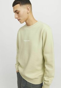 Világoszöld pamut keverék crewneck pulóver, kis fehér logóval a mellrészen, laza fit, bordázott mandzsettákkal és aljjal.