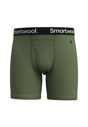 Grüne Boxershorts aus einem glatten Stoff. Mit einem schwarzen Bund, auf dem der Text "Smartwool" und ein kleines Logo auf der Vorderseite zu sehen sind.