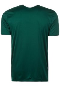 adidas Performance ENTRADA 18 FUSSBALLTRIKOT HERREN - T-shirt basique - dark green