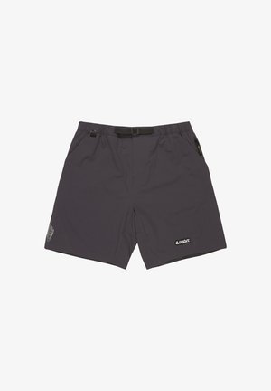 Pantaloni da bagno grigio scuro realizzati in tessuto leggero. Presentano una cintura frontale con fibbia, due tasche laterali e un logo sull'orlo.