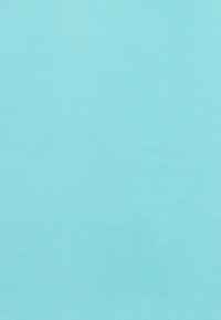 Tessuto bleu chiaro con una texture liscia, privo di motivi. Il materiale presenta una leggera lucentezza, creando un aspetto morbido e uniforme.