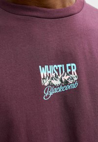 Karmesinrød bomulds-T-shirt med rund hals, der har et hvidt og blåt grafik af bjerge med teksten "WHISTLER Blackcomb" nedenunder.