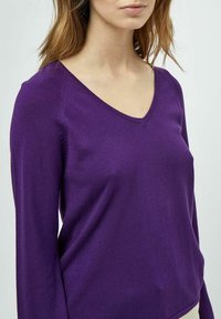 PEPPERCORN PCTANA - Strickpullover -  imperial purple