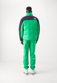 The North Face INSULATED JACKET - Vinterjakker - optic emerald