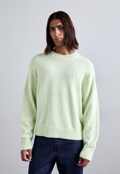 Suéter tejido de color verde claro con puños y dobladillo acanalados, que presenta un detalle sutil del logo en el pecho. Combinado con jeans de mezclilla oscura.