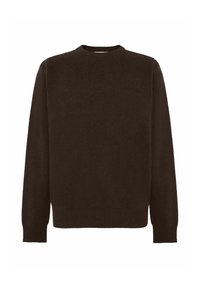 ROLAND-Trui-sealbrown