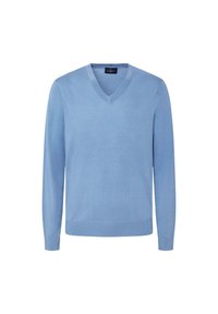 Hellblauer V-Ausschnitt-Pullover aus einem weichen, strukturierten Stoff mit langen Ärmeln und geripptem Saum. Verfügt über ein kleines Markenlogo am Hals.