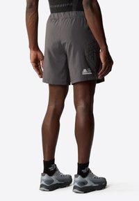 The North Face MA GRAPHIC - Shorts - anthracite grey tnf bla