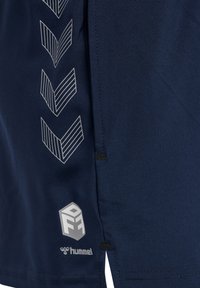 Navy-Sportshorts aus glattem Stoff, mit einem diagonalen Chevron-Muster in Weiß an der Seite und einem Logo mit Akzenten am Saum.