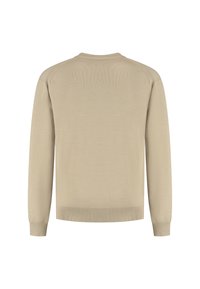Beige Langarm-Crewneck-Pullover mit gerippten Bündchen, Saum und Schulternaht-Details, von hinten gezeigt.