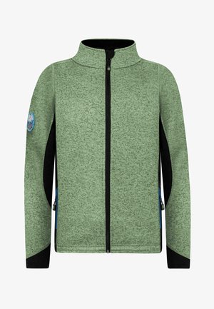 Grüne Fleecejacke mit einem schwarzen Reißverschluss und seitlichen Einsätzen. Verfügt über einen hohen Kragen und ein blaues Logopatch am linken Arm. Zwei Reißverschlusstaschen.