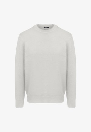 Maglione grigio chiaro con scollo rotondo, maniche lunghe, orlo e polsini a costine e motivo a maglia testurizzato. Tessuto liscio e morbido al tatto.