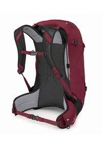 Zaino da trekking bordeaux con accenti neri, dotato di schienale in rete per la ventilazione, spallacci regolabili e una costruzione in tessuto resistente.