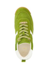 Green suede sneaker with white accents, round toe, lace-up front, and gold-tone hardware. Features a textured upper and rubber sole.