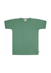 Groene katoenen T-shirt met korte mouwen en een ronde halslijn. Heeft een rechte snit en een klein label op de zoom. Glad textuur.