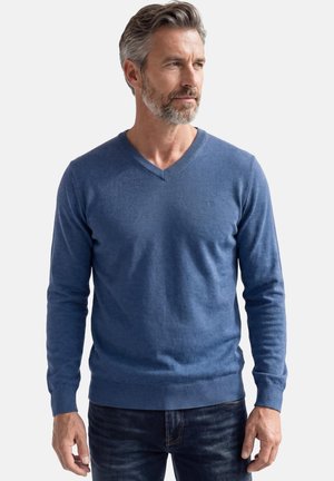 Mann mit grauen Haaren und Bart, trägt einen blauen V-Ausschnitt-Pullover und dunkle Jeans, steht und schaut seitlich vor einem weißen Hintergrund.
