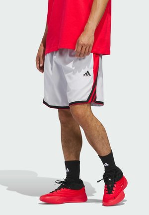 CRAZYLITE SHORT - Short de sport - dash grey   pure ruby