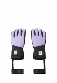 Wybrany, blooming lilac