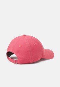 The North Face WASHED NORM HAT UNISEX - Boné - slate rose