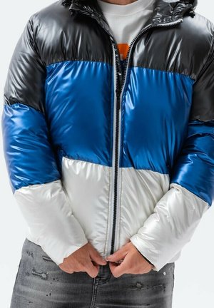 Chaqueta de invierno - grey