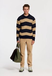 Bežide ja tumesiniste triipudega kampsun, ümmarguse kaelusega; beežid püksid; roheline käekott; hallid ja mustad vabaajajalatsid. Materjalil on tekstuur.