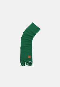 Sciarpa di lana verde con bordi frangiati e una piccola etichetta in pelle marrone, caratterizzata da una texture morbida e una forma lunga e rettangolare.