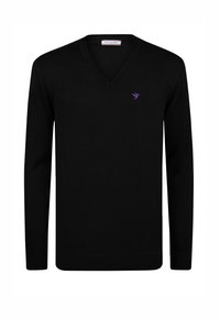 Zwarte V-hals trui gemaakt van fijn breisel, met een klein paars vogel logo op de linkerborst en ribbelmanchetten en -zoom.