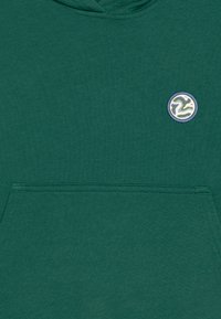 Patagonia HOODY UNISEX - Sportinis megztinis - conifer green