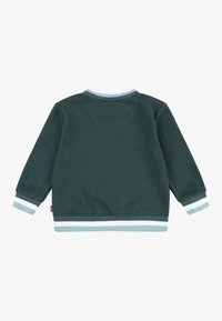 Grüner Pullover mit langen Ärmeln, gerippten Bündchen und Saum. Verfügt über hellblaue Akzente und horizontale weiße Streifen an den Bündchen.