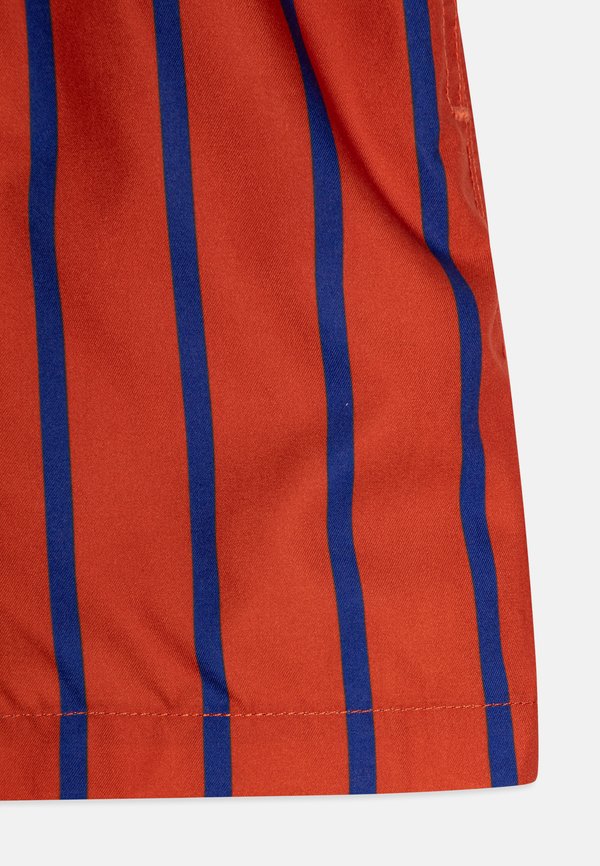 VERTICAL STRIPE SWIM - Swimming shorts3