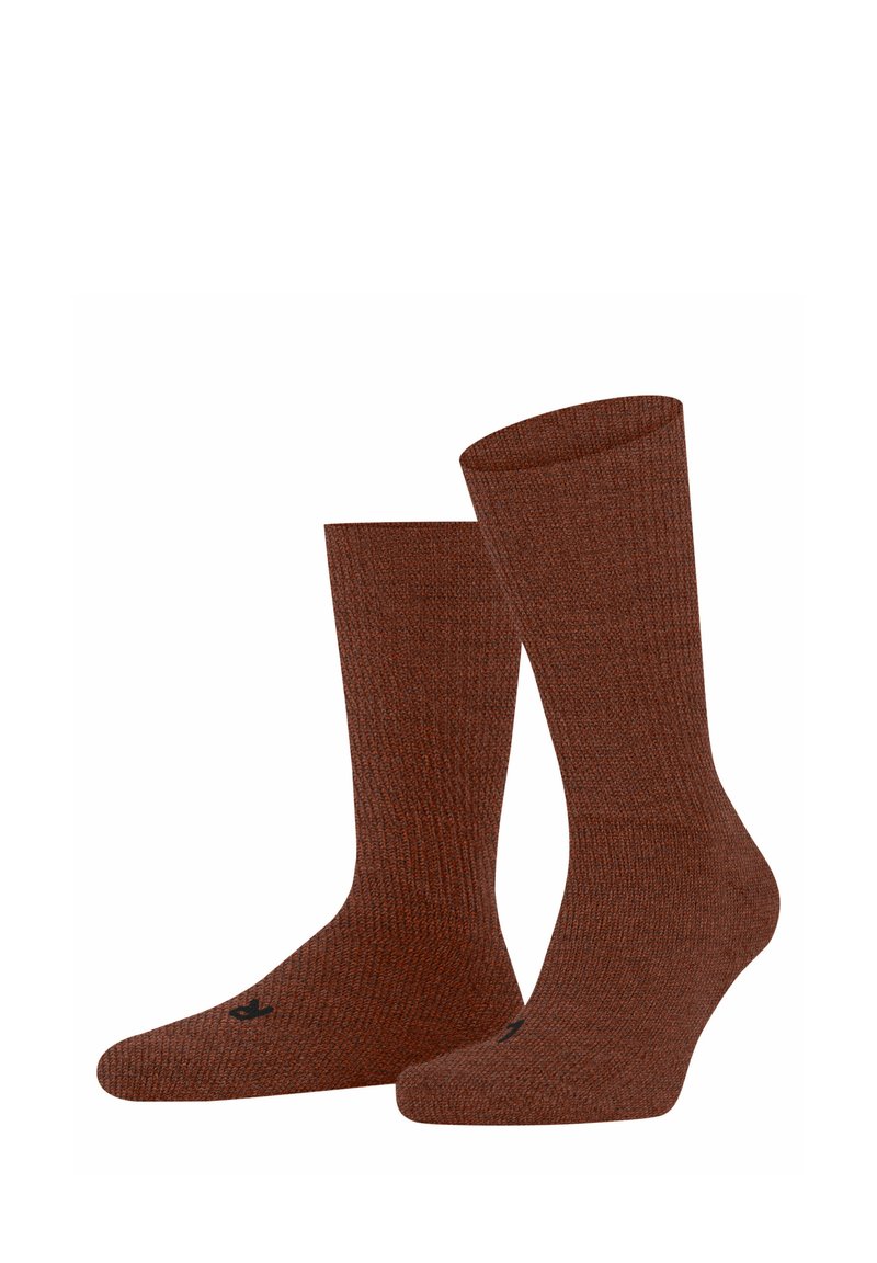 FALKE WALKIE ERGO - Calze - terra