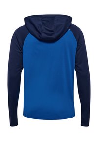 Hoodie met een blauwe romp en donkerblauwe raglanmouwen. Gemaakt van een gestructureerde stof, met een gladde afwerking en zonder zichtbare patronen.