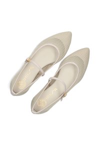 Bailarinas de malla beige con punteras puntiagudas, correa decorativa y herrajes dorados. Interior suave con el logo de la marca impreso en dorado.