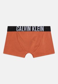 Boxer da uomo in cotone arancione bruciato, con una vita elasticizzata nera su cui è stampato in bianco "CALVIN KLEIN".