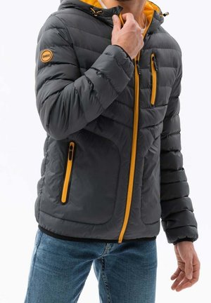 Chaqueta de invierno - dark grey