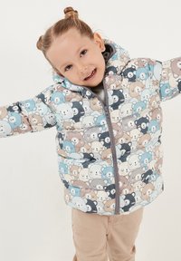 LELA REGULAR FIT - Zimska jakna - beige