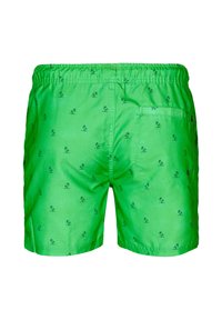 Petrol Industries Zwemshorts - andean toucan