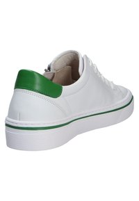 Baskets basses blanches avec languette de talon verte et bande verte sur la semelle blanche, vues de l'arrière côté, montrant les lacets et le rembourrage intérieur.