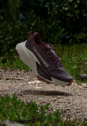 The North Face, W ALTAMESA 500 V2 - Обувки за бягане по пресечен терен - deep burgundy/cumulus clo